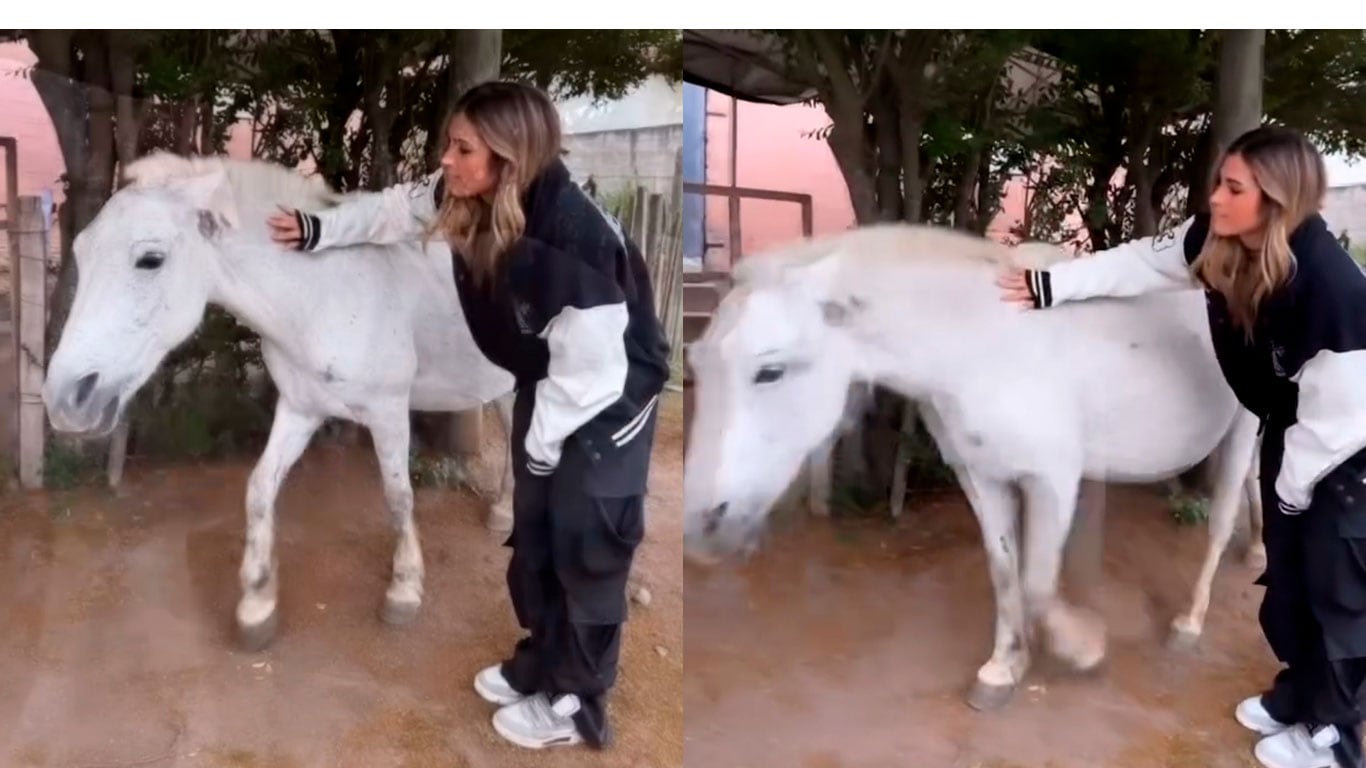 Julieta Poggio fue a acariciar a un caballo y recibió una tremenda patada