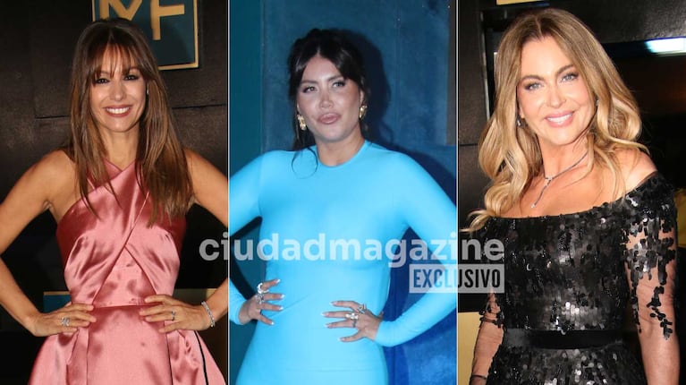 Pampita, Wanda Nara, Karina Mazzocco y más: quiénes fueron las mejores y peores vestidas de los Martín Fierro 