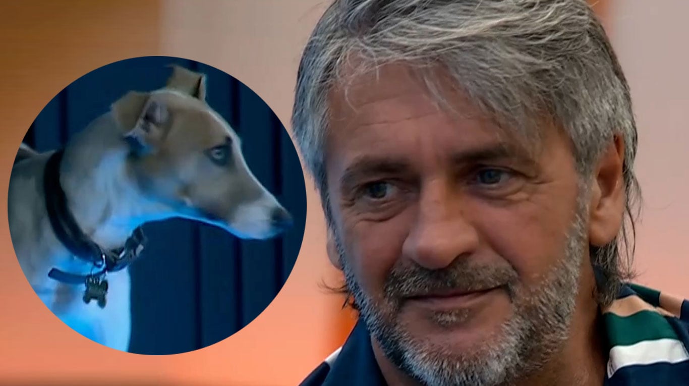 El perro Arturo de Gran Hermano se puso bravo y atacó a Darío: lo quiso morder 