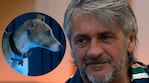 El perro Arturo de Gran Hermano se puso bravo y atacó a Darío: lo quiso morder 