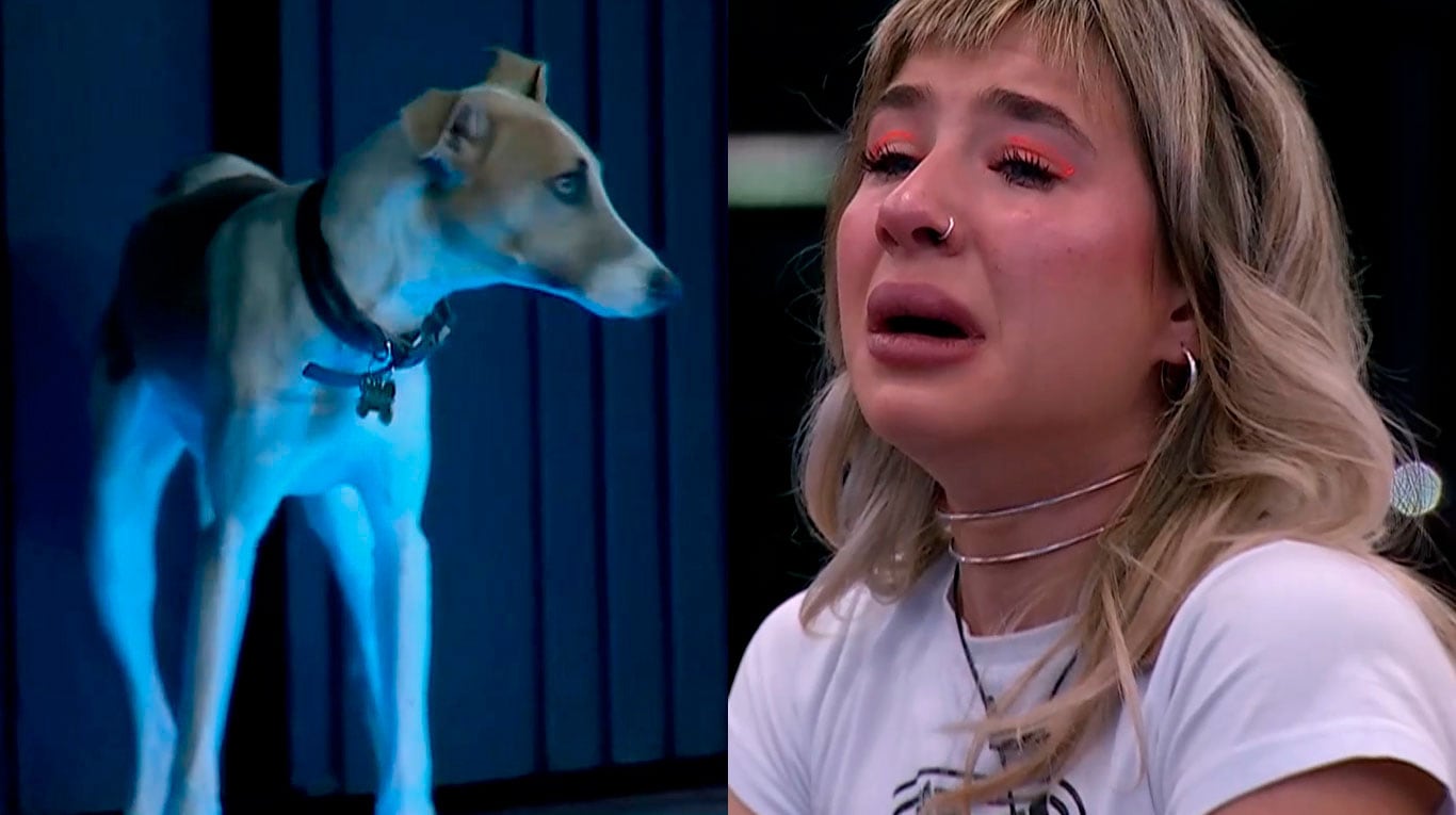 Gran Hermano 2023: la reacción de Paloma ante el ingreso de Arturo a la casa se convirtió en meme