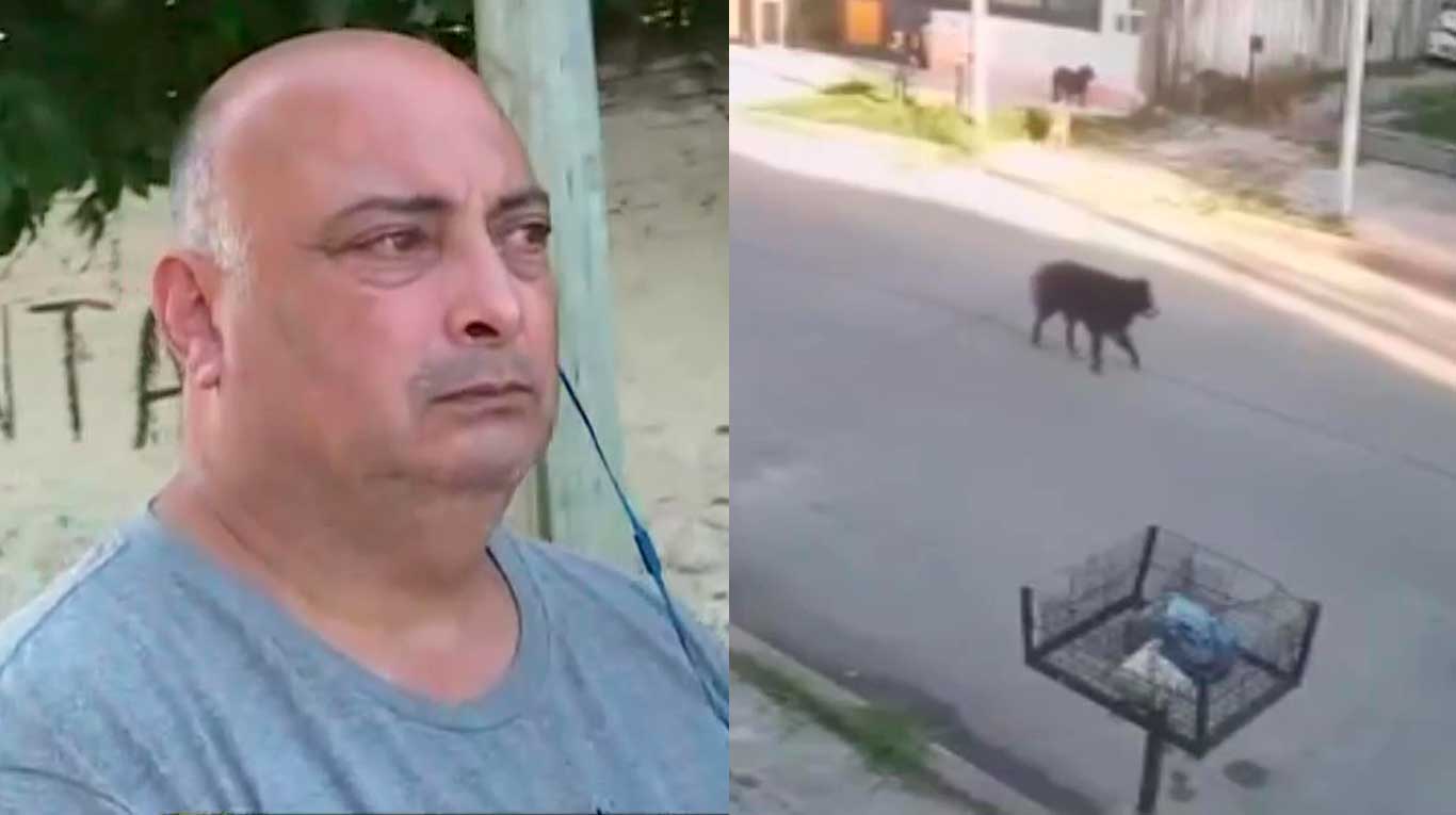 Jorge contó cómo fue la dramática persecución del dueño de la perrita asesinada por un chofer de colectivo