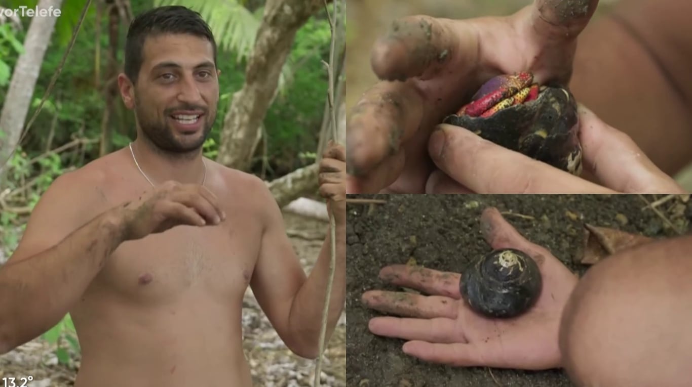 El mal momento que pasó un participante de Survivor