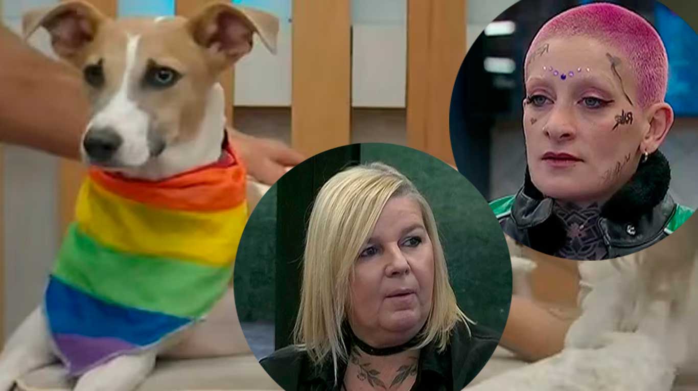 Virginia contó que Furia le tiñó el pelo al perro Arturo de Gran Hermano 2023