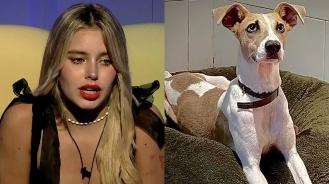 Coti Romero se asustó con la reacción del perro que entró a Gran Hermano 2023 al intentar acariciarlo