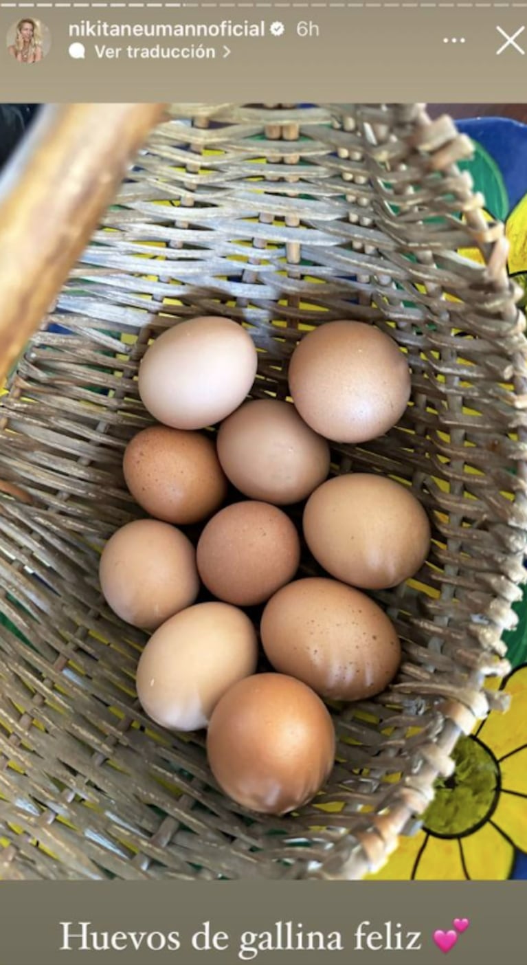 "Huevos de gallina feliz": Nicole Neumann cocinó pastas caseras con materias primas de su granja