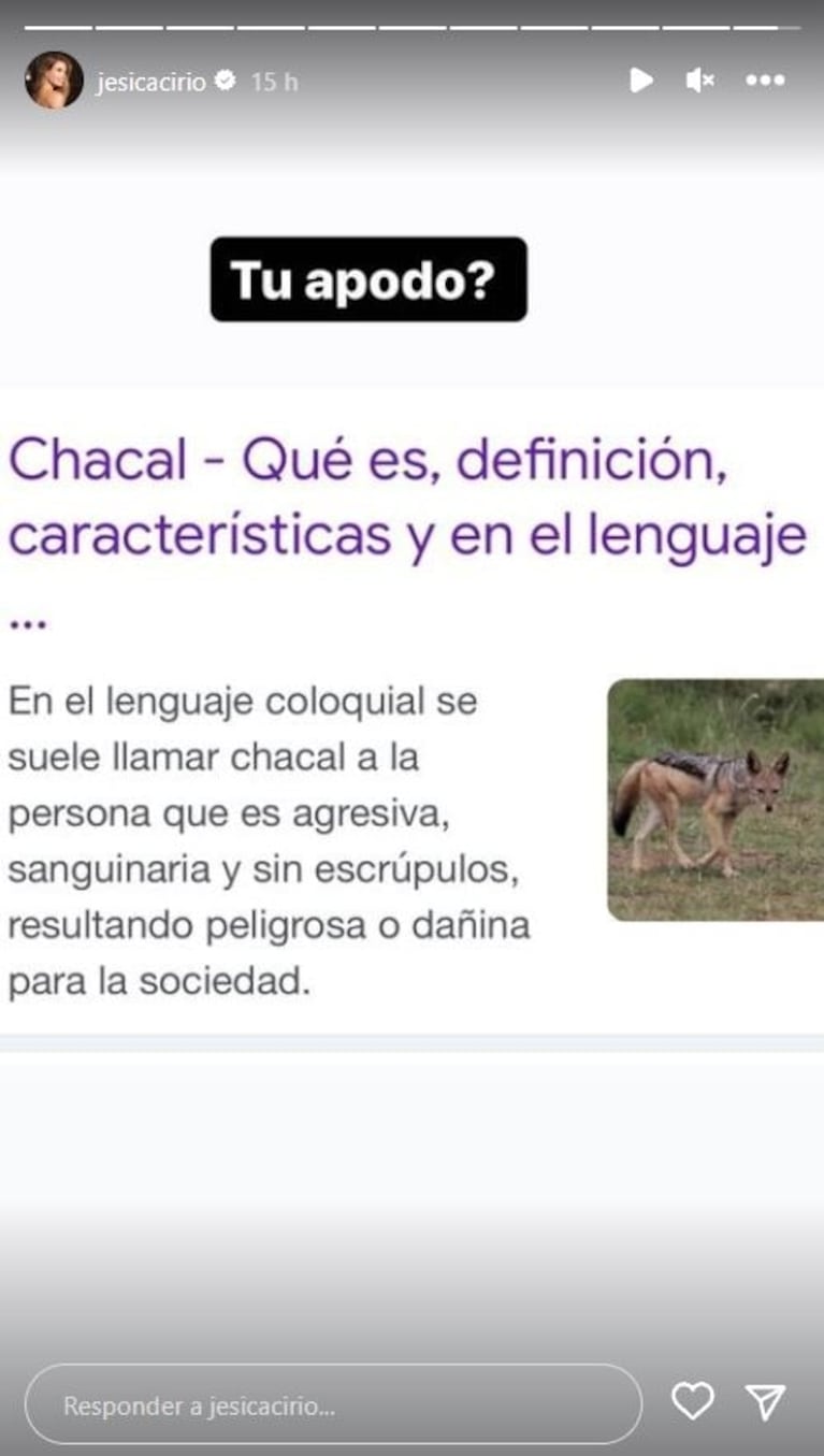 Jésica Cirio lanzó un fuertísimo posteo: "¿Tu apodo? Chacal, persona sanguinaria y sin escrúpulos"