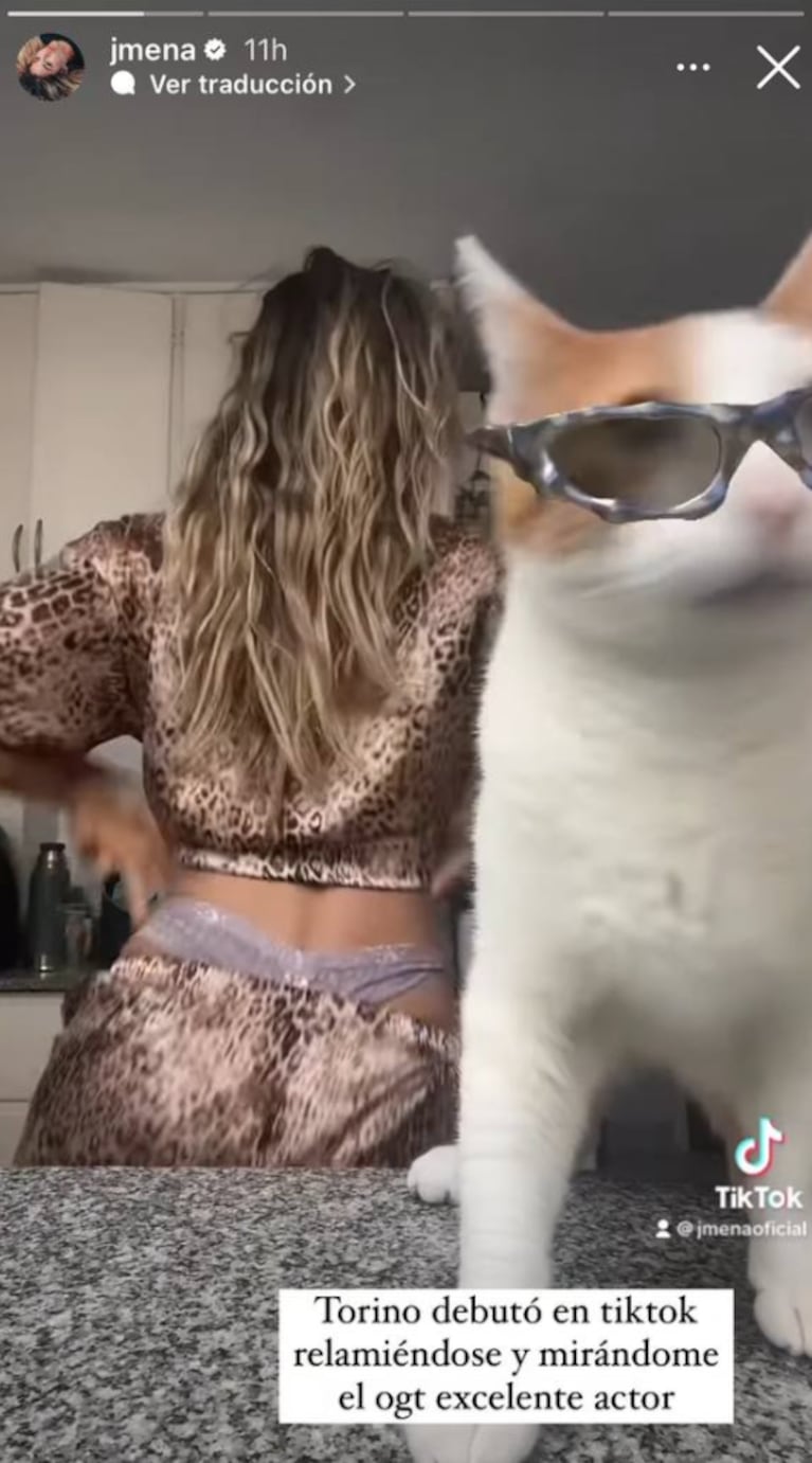 Jimena Barón causó furor con un video de TikTok con su gato Torino: "Se relamió y me miró el ogt"