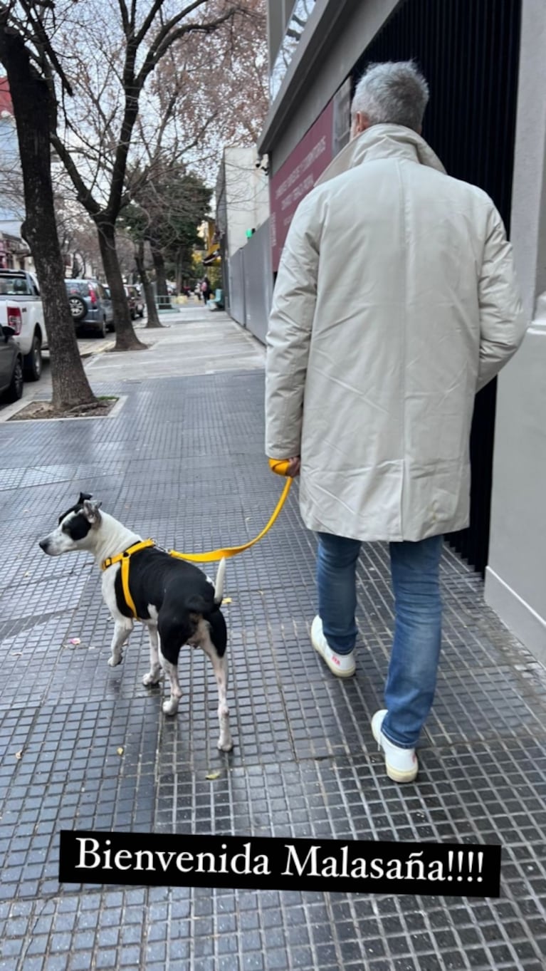 Jorge Rial adoptó una perra, la bautizó "Malasaña" y explicó su origen: "Llegó hoy a casa"