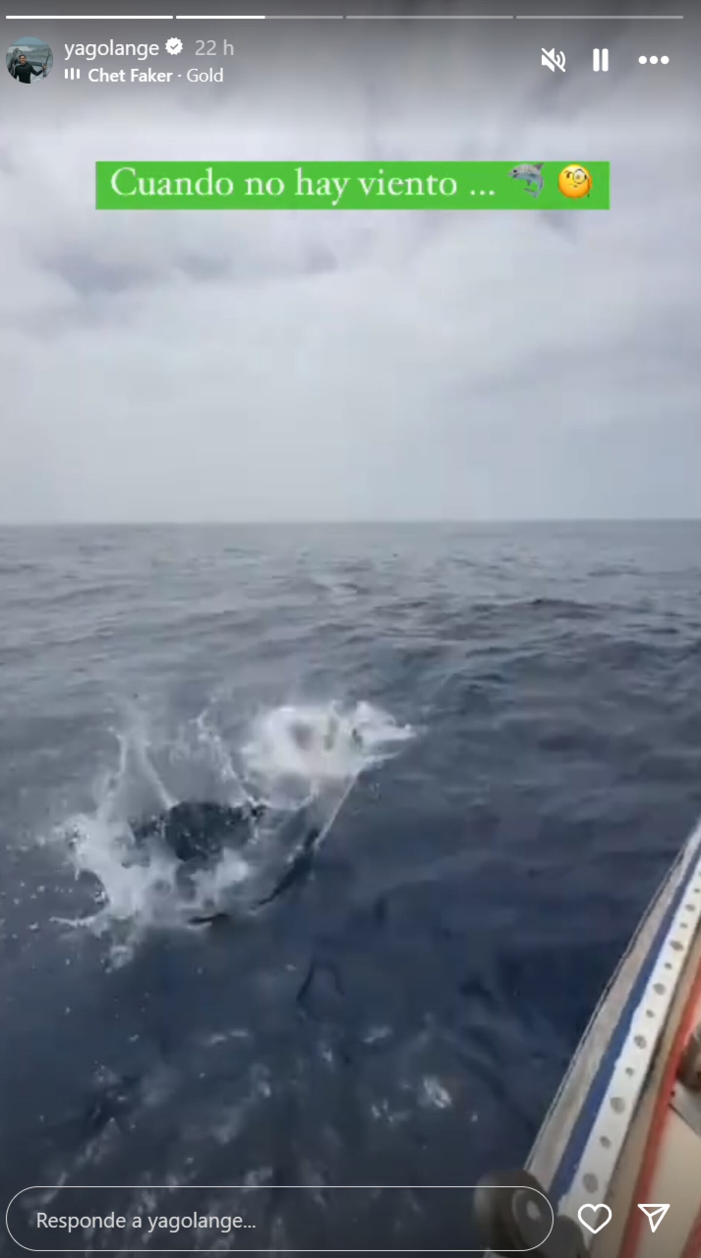 Juana Viale y su novio mostraron qué hacen en su viaje por el océano  Atlántico cuando no hay viento: el video | Ciudad Magazine