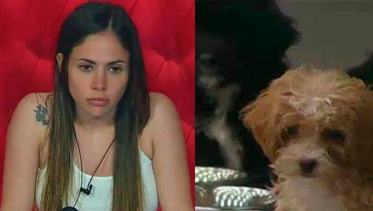 La campaña para que Caramelo vuelva a estar con Mora en Gran Hermano luego de que Romina se lo llevara.