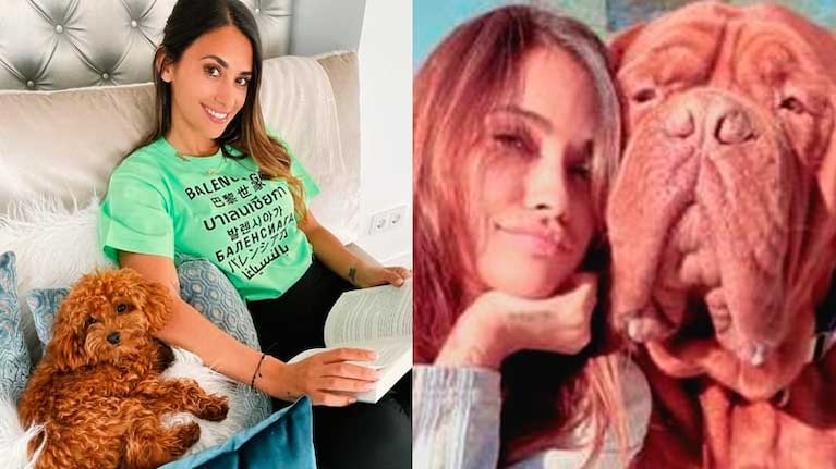 La esposa de Lionel Messi se mostró junto a sus dos perros en las redes