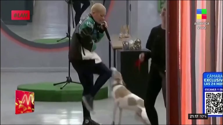 La patada de Furia a Arturo en Gran Hermano.