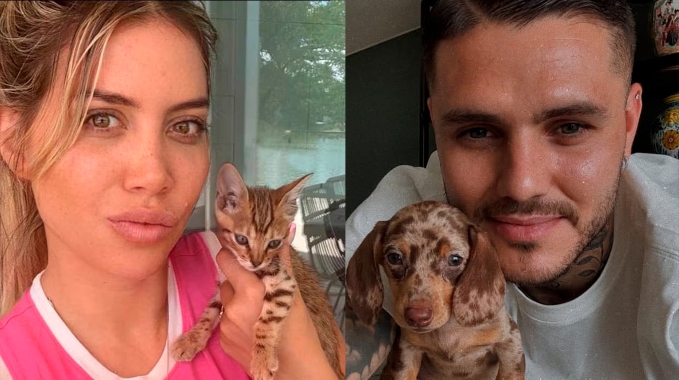 La red de veterinarios apuntó contra Wanda Nara y Mauro Icardi por la situación de sus mascotas en Turquía.