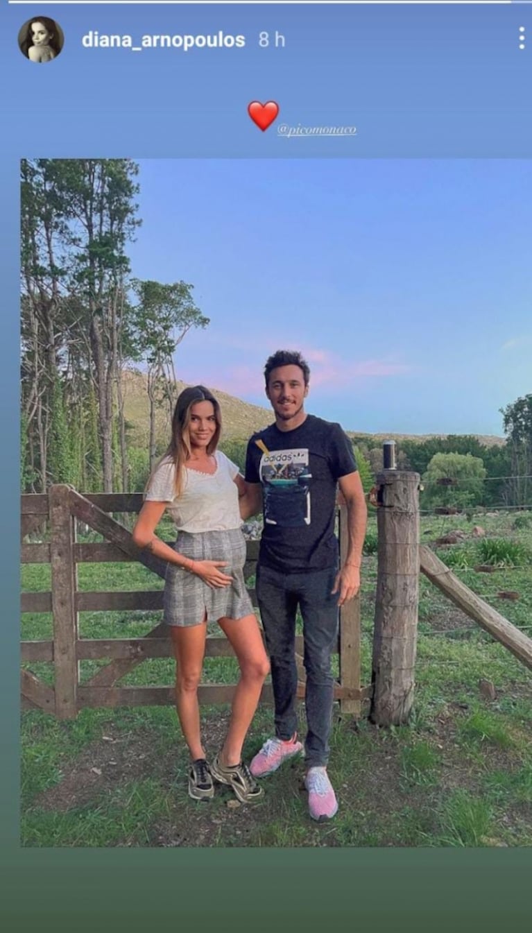 La tierna postal de Pico Monáco y Diana Arnopoulos luciendo su pancita de embarazo