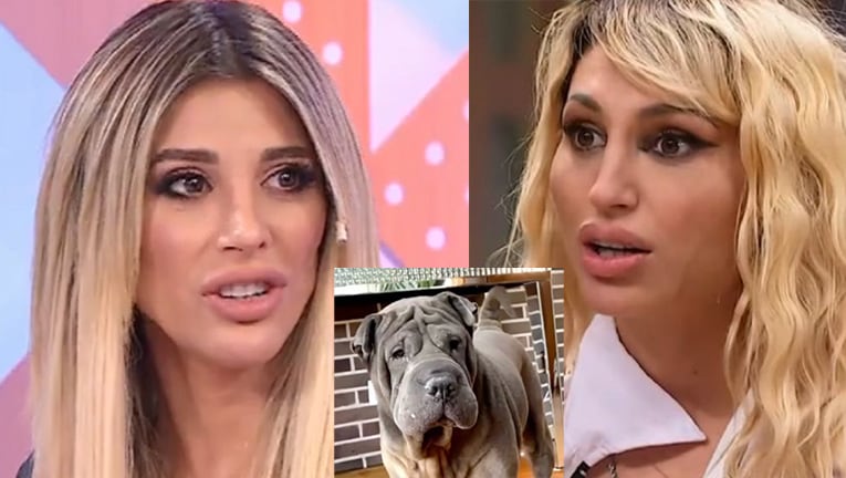 La tristeza de Vicky y Stefi Xipolitakis por la muerte de su mascota.