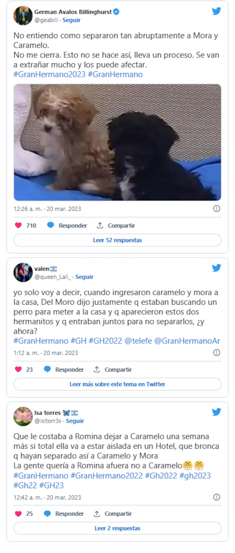 Lanzan una campaña en redes luego de que Romina se fuera de la casa con Caramelo: quieren que vuelva con Mora