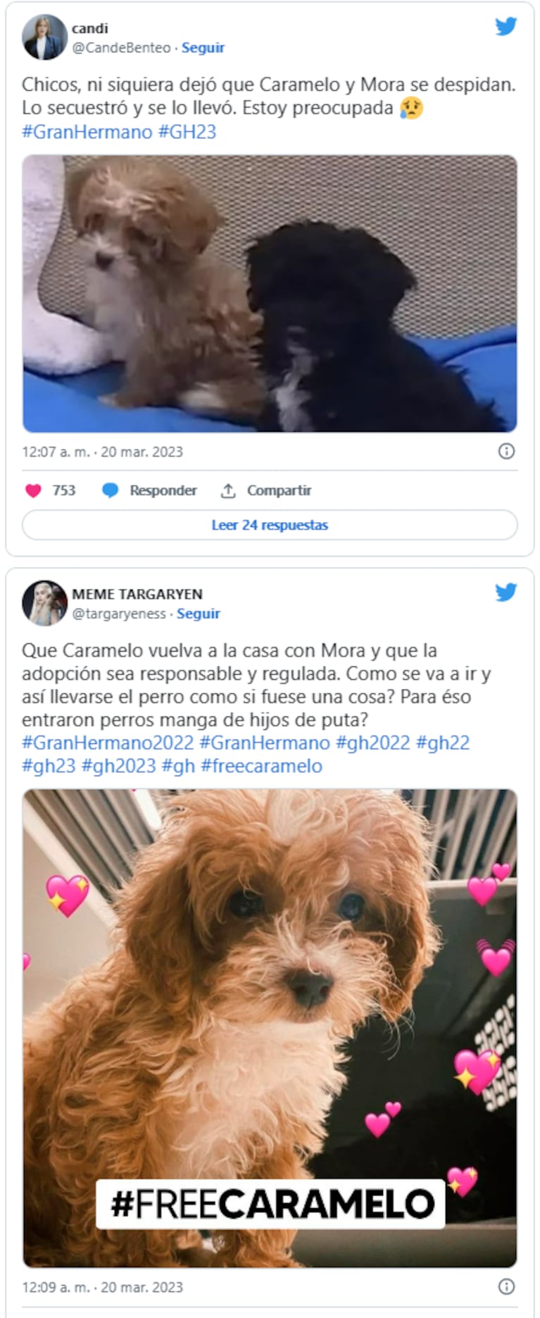 Lanzan una campaña en redes luego de que Romina se fuera de la casa con Caramelo: quieren que vuelva con Mora