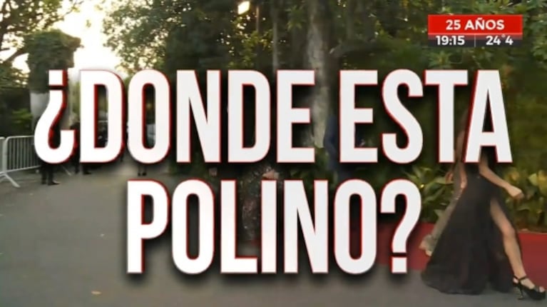 Las desopilantes placas de Crónica TV durante el casamiento de Pampita y Roberto García Moritán