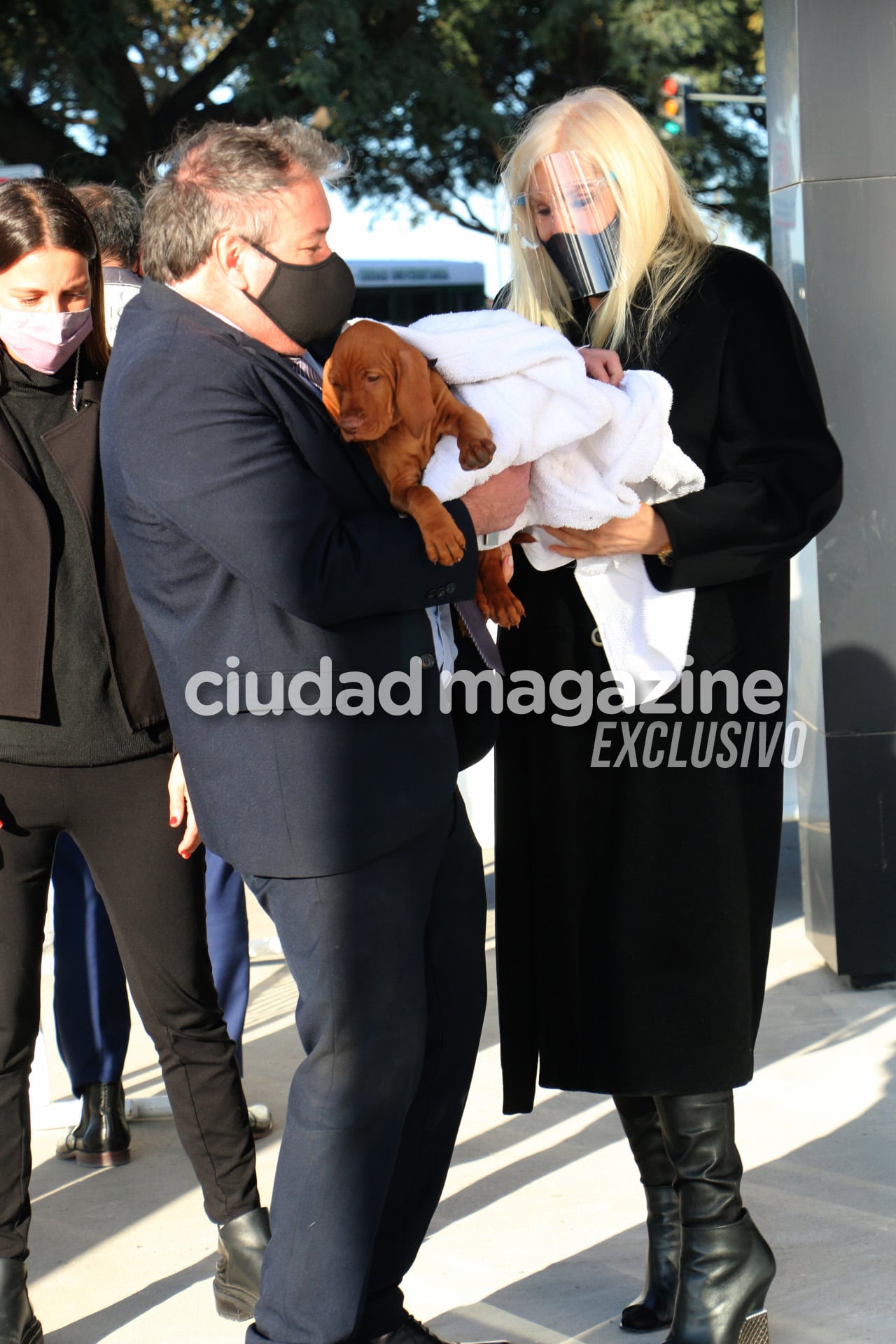 Las fotos de Susana Gímenez en su vuelta al país tras estar internada por coronavirus en Uruguay. Foto: Movilpress