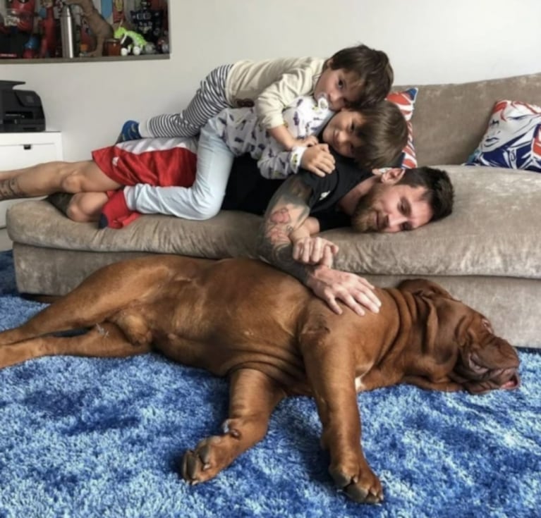 Las tiernas fotos de Abú, el más chiquito de los tres perros de Antonela Roccuzzo y Lionel Messi