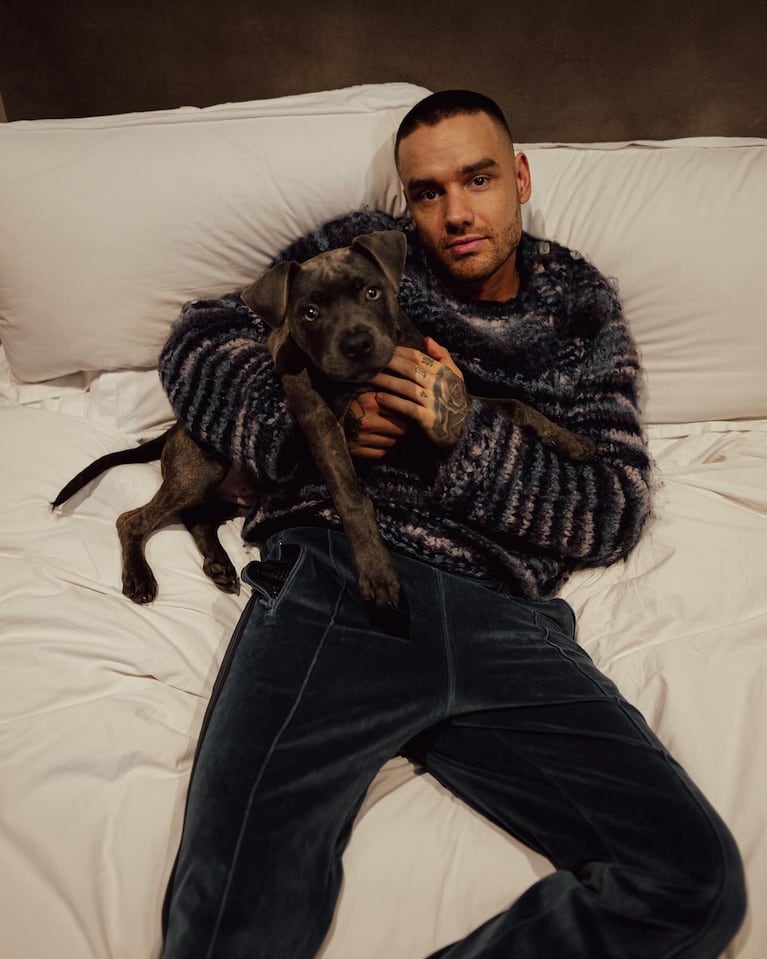 Liam Payne y Stan, su perro.