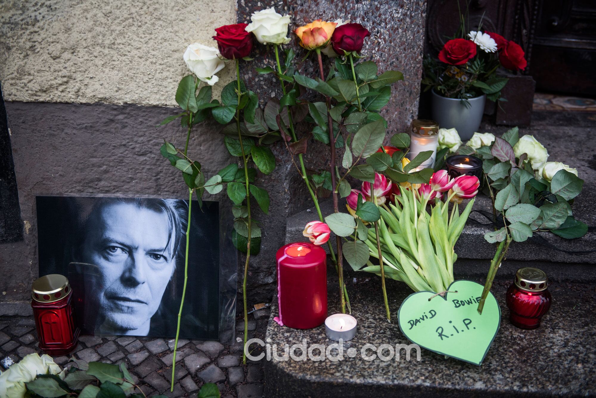 Los fans de David Bowie lloran su muerte (Fotos: AFP). 