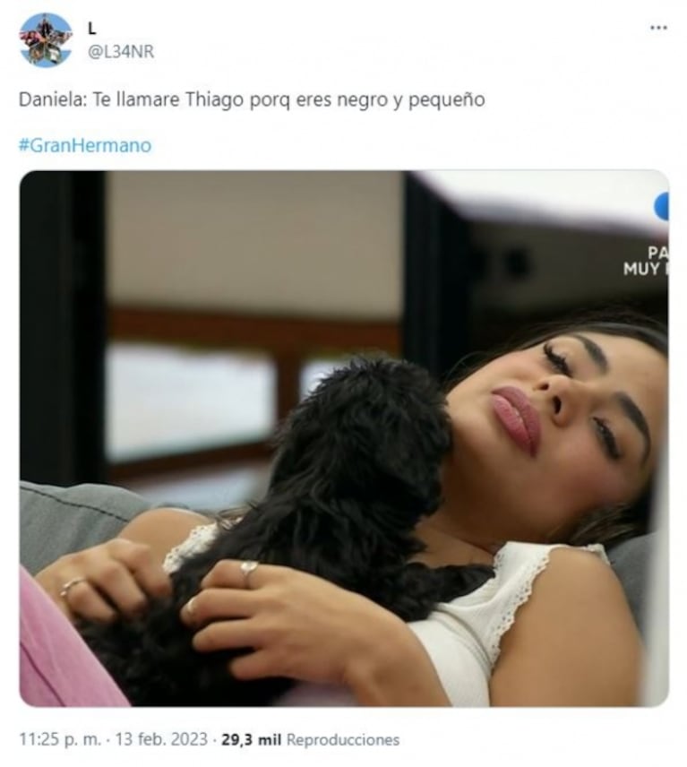 Los mejores memes por el ingreso de los perritos Moro y Caramelo a Gran Hermano 2022