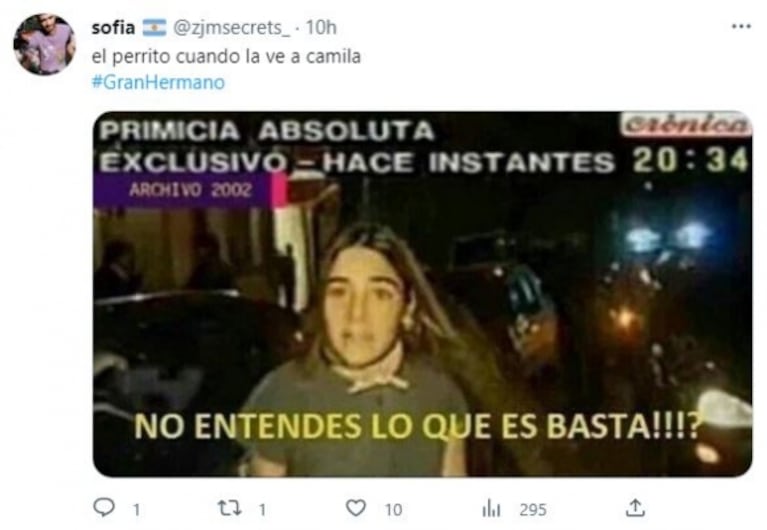 Los mejores memes por el ingreso de los perritos Moro y Caramelo a Gran Hermano 2022