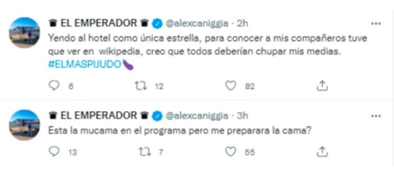 Los tremendos tweets de Alex Caniggia contra Pampita que generaron polémica y borró: "Está la mucama en el programa"