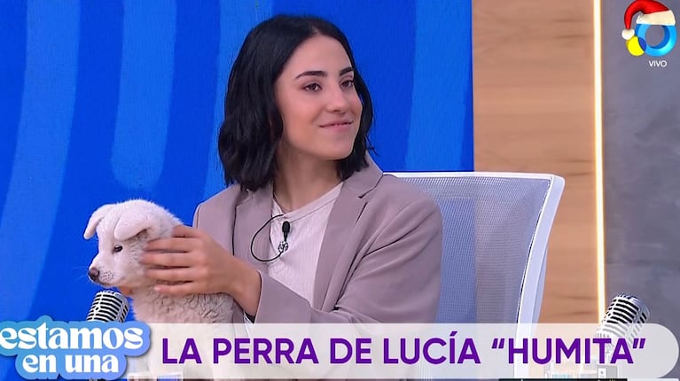 Lucía Maidana presentó en TV a su perrita de 50 días: raza exótica y ocurrente nombre