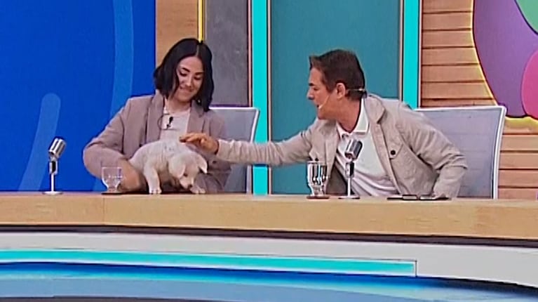 Lucía Maidana presentó en TV a su perrita de 50 días: raza exótica y ocurrente nombre