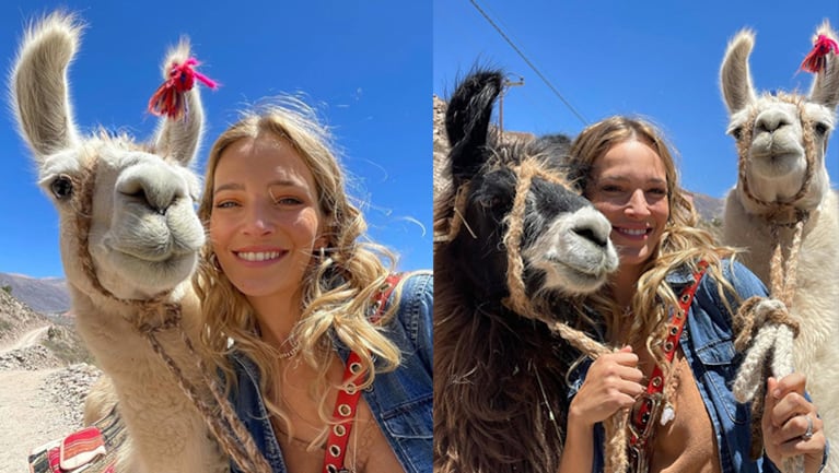 Luisana Lopilato compartió divertidas fotos posando con unas llamas en Jujuy.