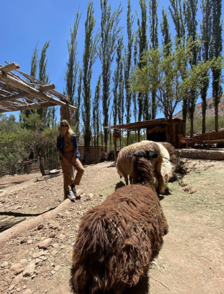 Luisana Lopilato compartió divertidas fotos posando con unas llamas en Jujuy: "Salimos de paseo y nos encontramos con estas bellezas"