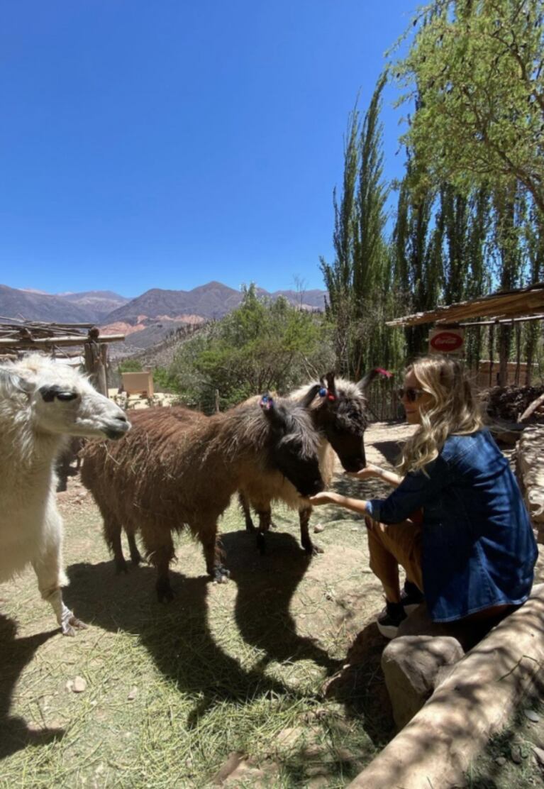 Luisana Lopilato compartió divertidas fotos posando con unas llamas en Jujuy: "Salimos de paseo y nos encontramos con estas bellezas"