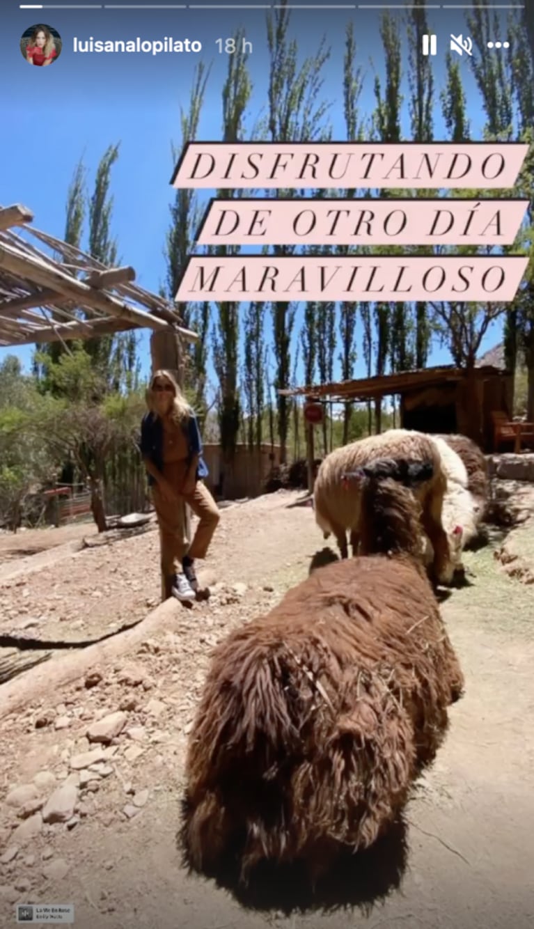 Luisana Lopilato compartió divertidas fotos posando con unas llamas en Jujuy: "Salimos de paseo y nos encontramos con estas bellezas"