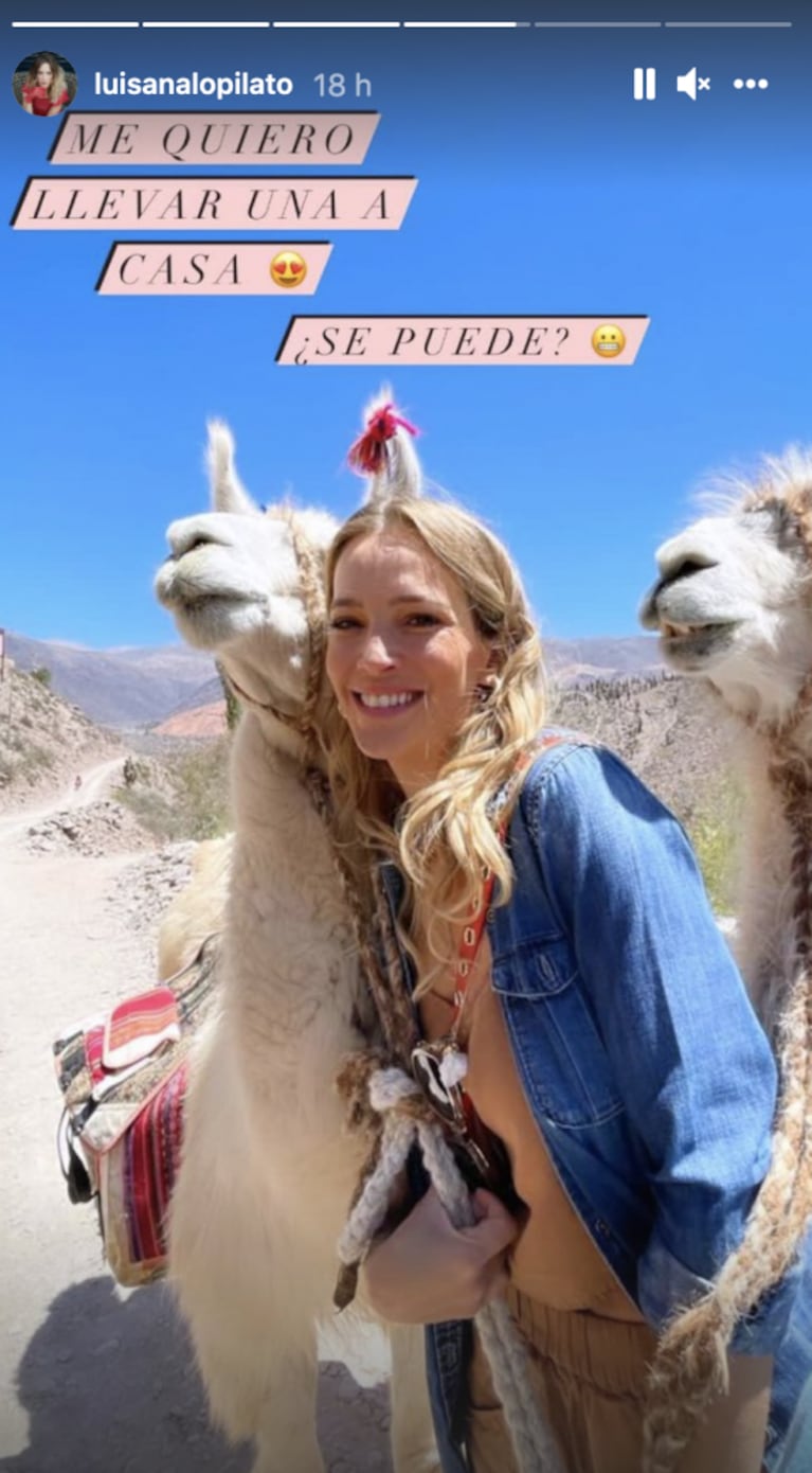 Luisana Lopilato compartió divertidas fotos posando con unas llamas en Jujuy: "Salimos de paseo y nos encontramos con estas bellezas"