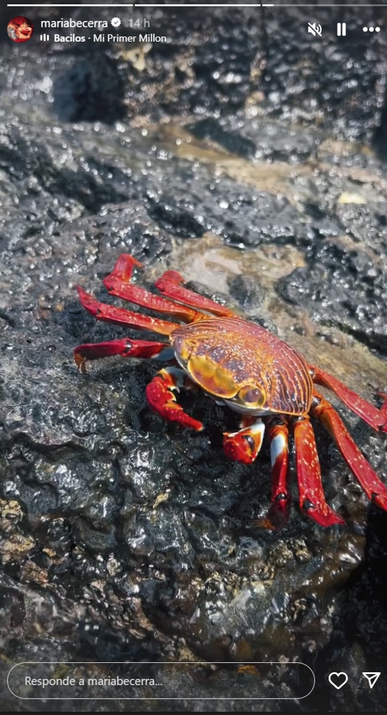 María visitó las Islas Galápagos con su familia.