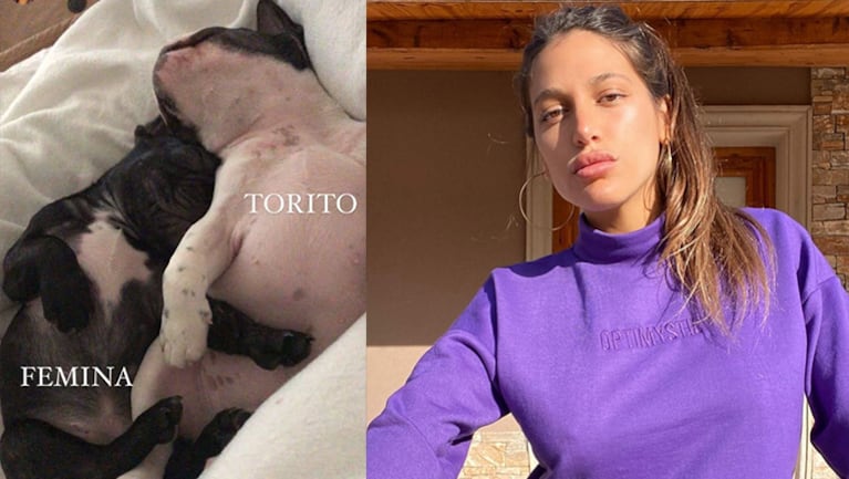 Marian Farjat hizo un desesperado pedido por la desaparición de sus perros.