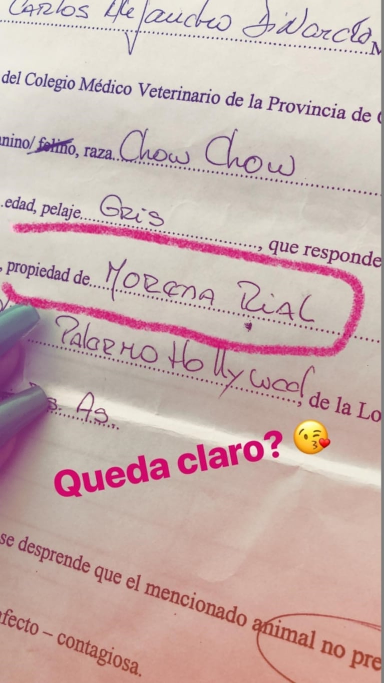 Morena Rial cruzó a su exnovio tras su reclamo por los perros: "¡Ni chance de volver a verlos!"