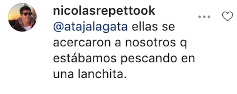 Nicolás Repetto posteó un video navegando cerca de las ballenas y en las redes lo fulminaron: "¡Está prohibido acercarse!"