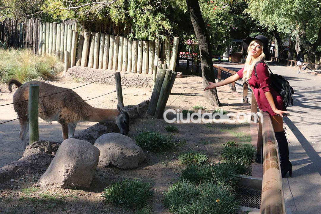 Noelia Marzol en medio del rodaje de Locos sueltos en el zoo. (Foto: Movilpress)