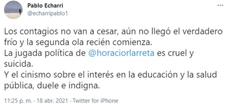 Pablo Echarri, indignado  por las clases presenciales: "Su jugada política es cruel y suicida"