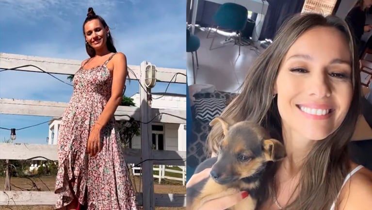 Pampita encontró una cachorra durante las grabaciones de El hotel de los famosos 2 y la puso en adopción.