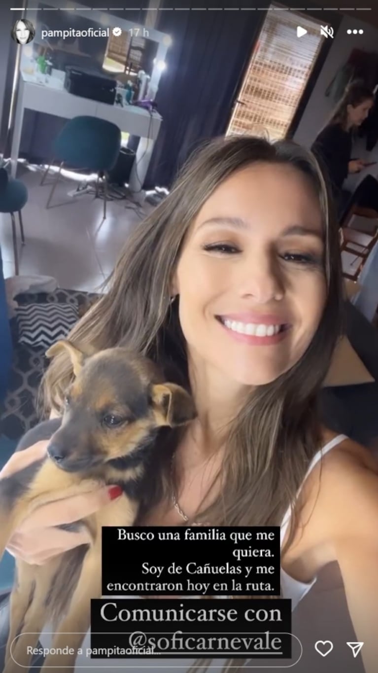 Pampita encontró una perrita en las grabaciones de El Hotel de los Famosos 2 y la puso en adopción