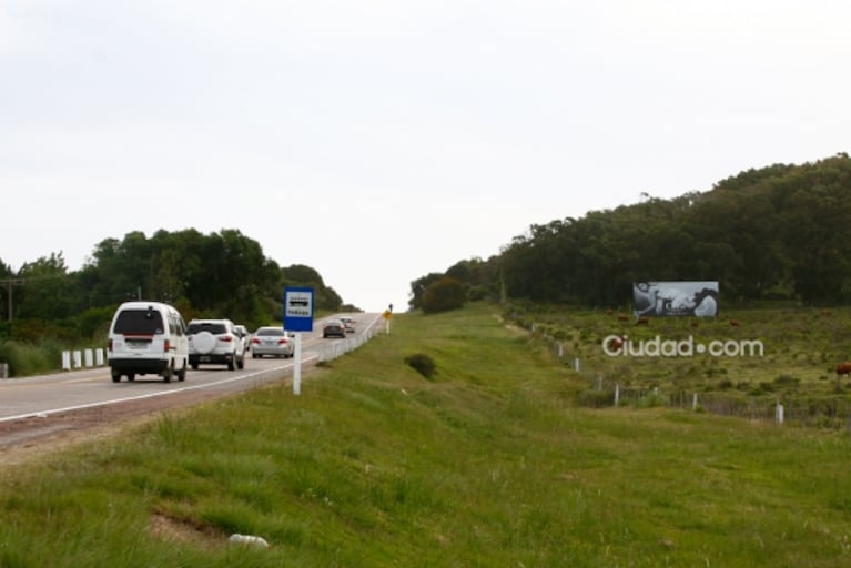 Pampita no tiene paz: la ruta balnearia de Punta del Este está empapelada con publicidades de la China Suárez