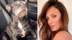 Paula Chaves reveló cómo sigue su perrito tras pedirles a sus seguidores que recen por él.