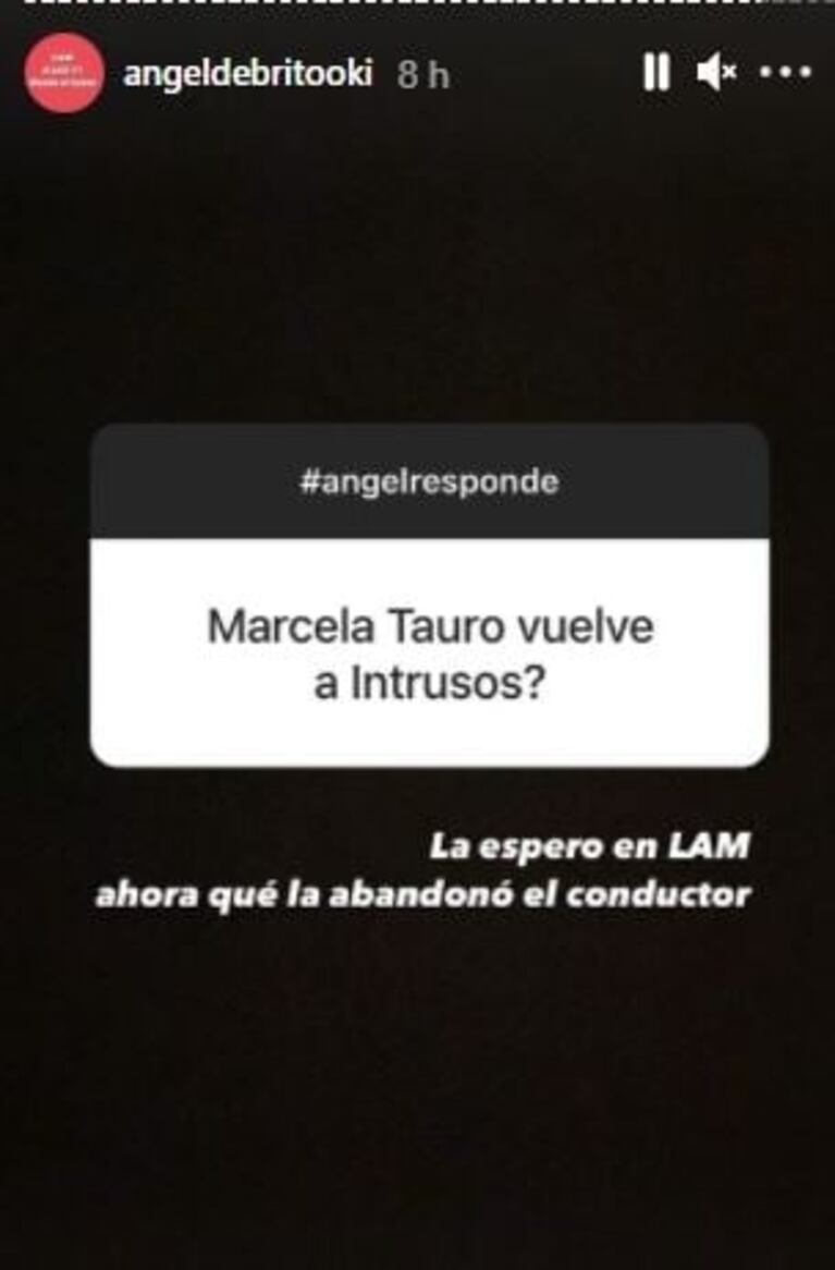 Picante posteo de Ángel de Brito sobre sus ganas de tener a Marcela Tauro como 'angelita' con palito a Fantino: "Ahora que la abandonó el conductor"