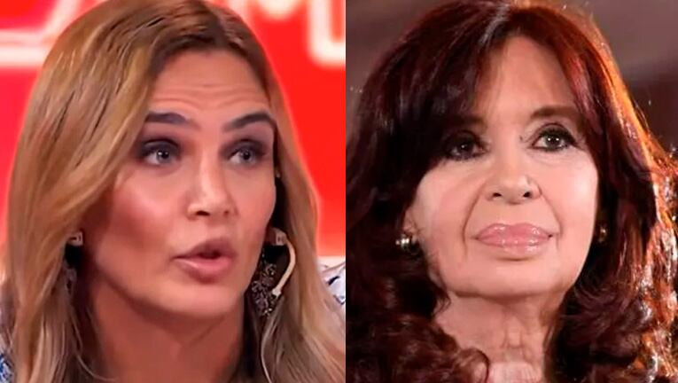 Polémico tweet de Amalia Granata sobre el ataque a Cristina Kirchner: 