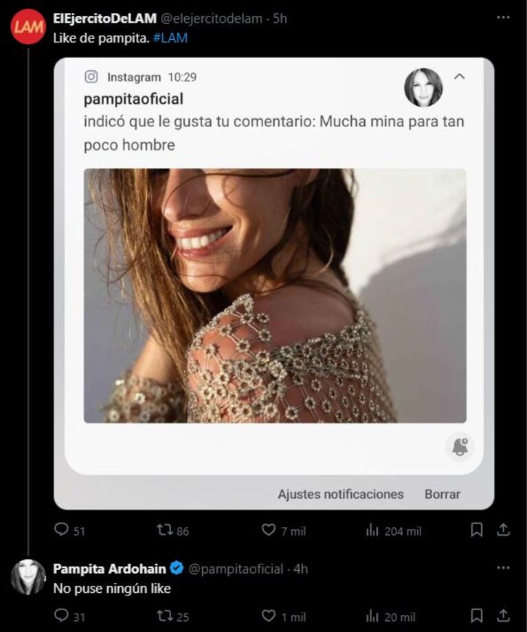 Qué dijo Pampita cuando la acusaron de hundir a Roberto García Moritán con un polémico like (Foto: Captura Twitter)